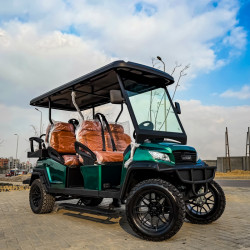 City Cart 4+2 Ultimate Gel Batteries Green