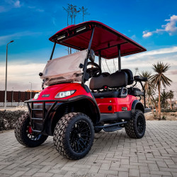 Ecar Monster 2+2 High Line Trojan